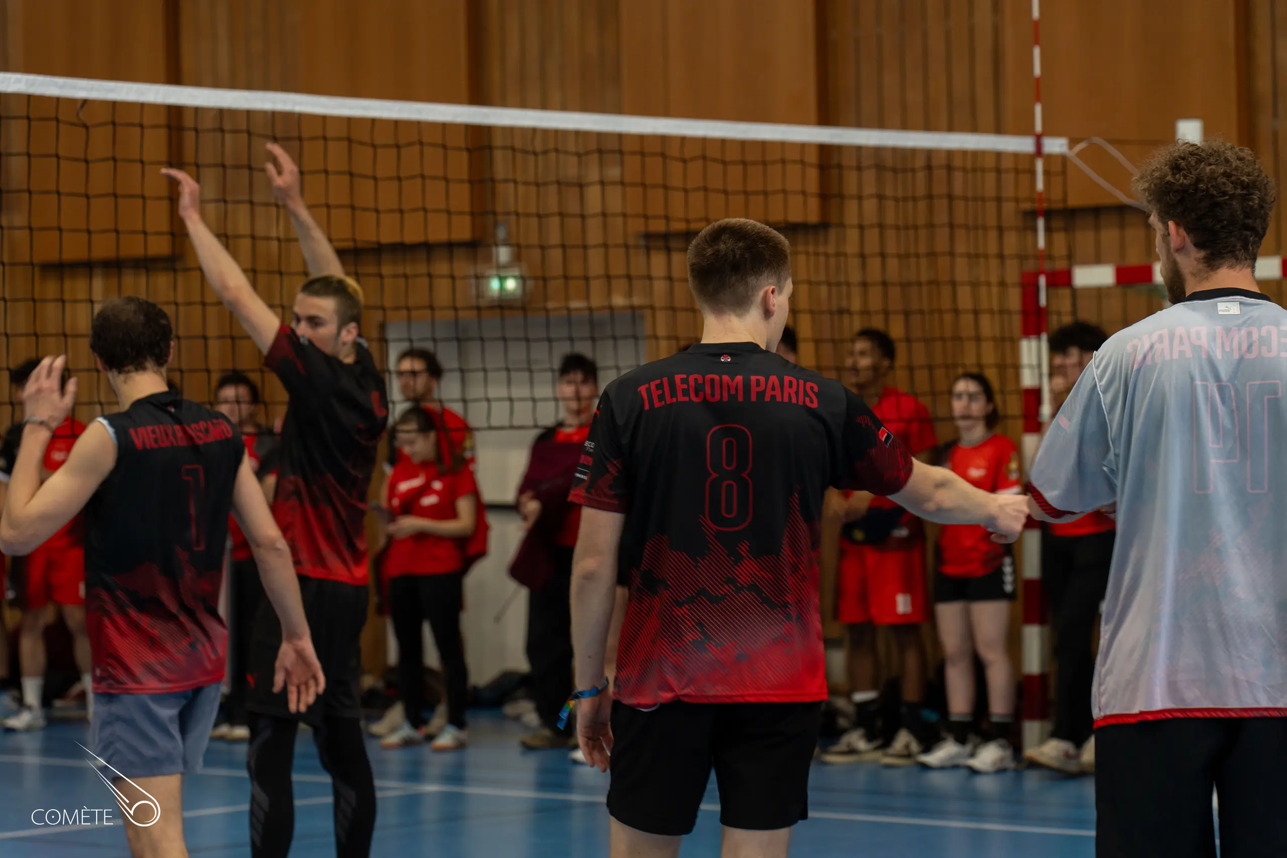 Volley Cartel