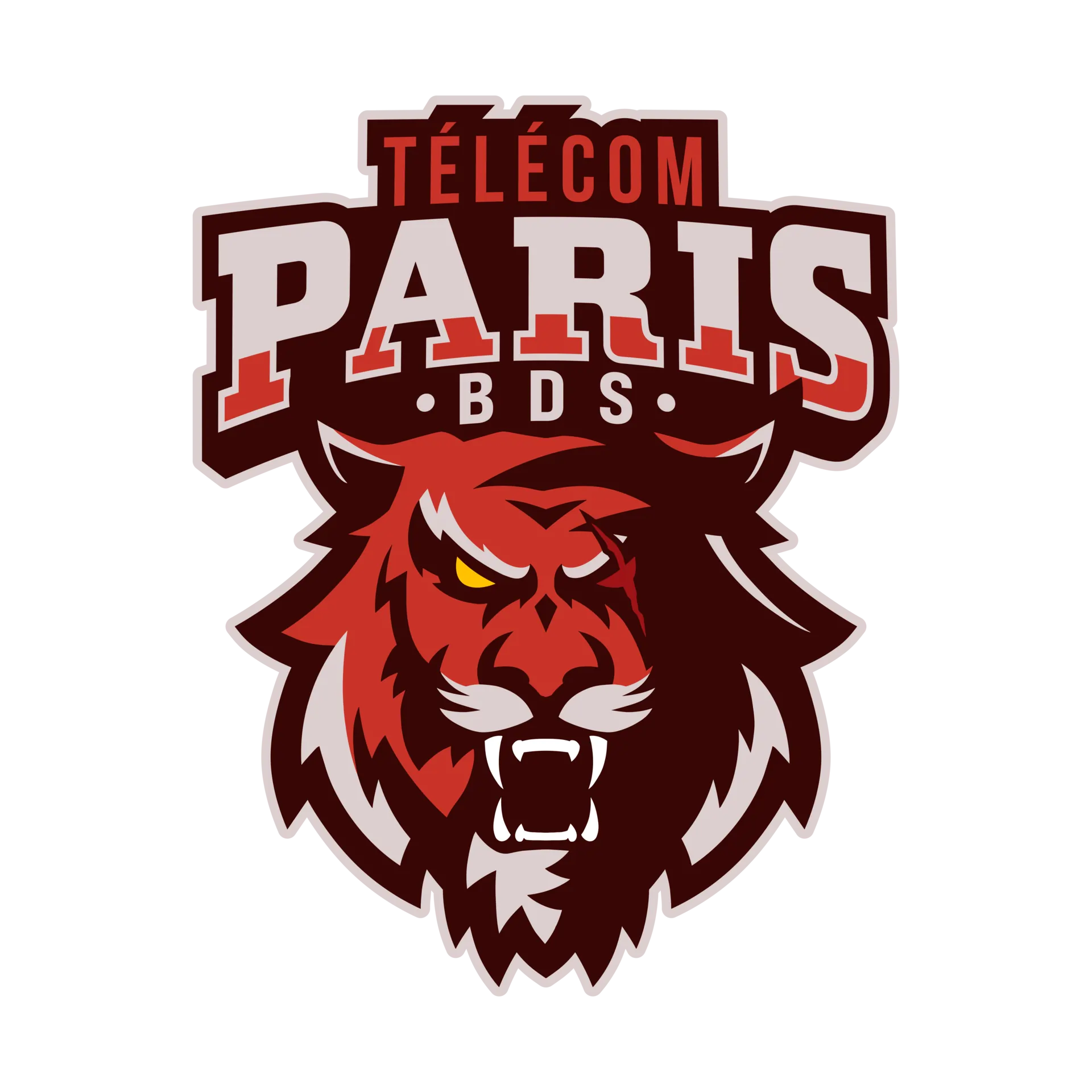 Logo BDS Télécom Paris